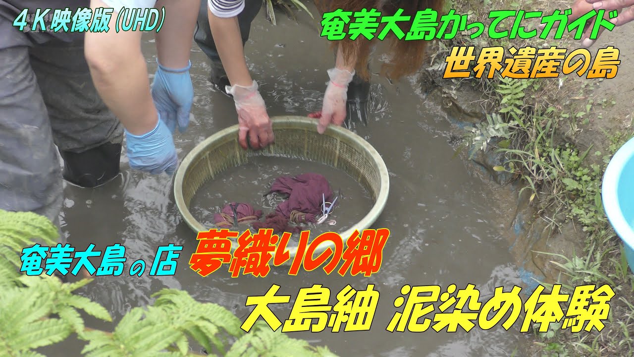 【世界遺産】大島紬の泥染め体験！奄美大島で絶対におススメ（ガイドブックでは分からない奄美の魅力）【夢おりの郷】