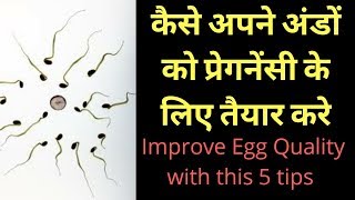 improve egg quality with 5 tips | 5 most effective tips to improve egg quality | #heenahealth