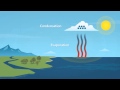 How does rain form and what is the water cycle?