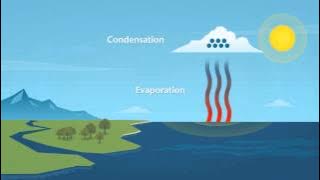 How does rain form and what is the water cycle?