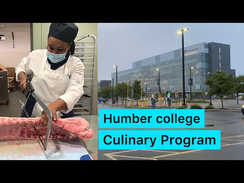 Humber College North Campus | Culinary Program | Behind The Scenes