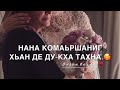 Песня Нана❤️ Дал декъал йойла!