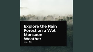 Rain Aftermath in the Woods