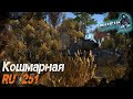 Кошмарная Ru 251 "Один бой на Миллион" | Nightmarish Ru 251 "One fight in a Million"