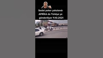 Sedat Peker yakalanıyor #shorts #shortsbeta #shortsbs