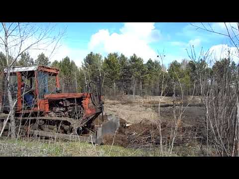 Видео: дт 75 чистит возле пруда