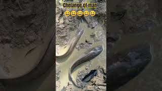 chelange? comadysorts funnycomedy viral comedy intresting funnysorts sorts funny  fish ??