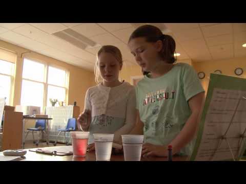 Damariscotta Montessori School Virtual Tour 2020