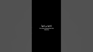 (( قالت ياليتني مت قبل هذا )) كرومات قرآن القارئ شريف مصطفى