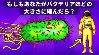 もしもあなたがバクテリアほどの大きさに縮んだら？