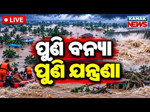 🔴ପୁଣି ବନ୍ୟା, ପୁଣି ଯନ୍ତ୍ରଣା | Odisha Flood Alert | Weather Update | Kanak News LIVE