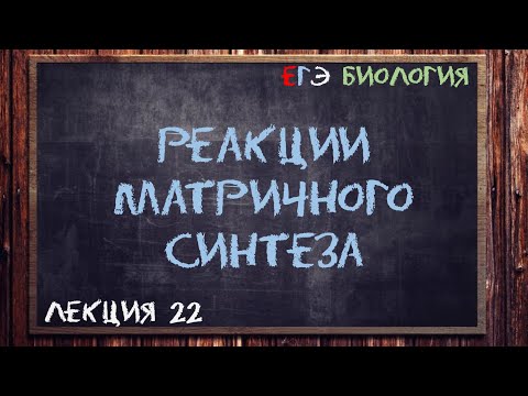 Видео: Какой тип реакции представляет собой синтез квасцов?