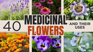 40 Medicinal Flowers And Their Uses | #medicinalplants #medicinalherbs #healingplants