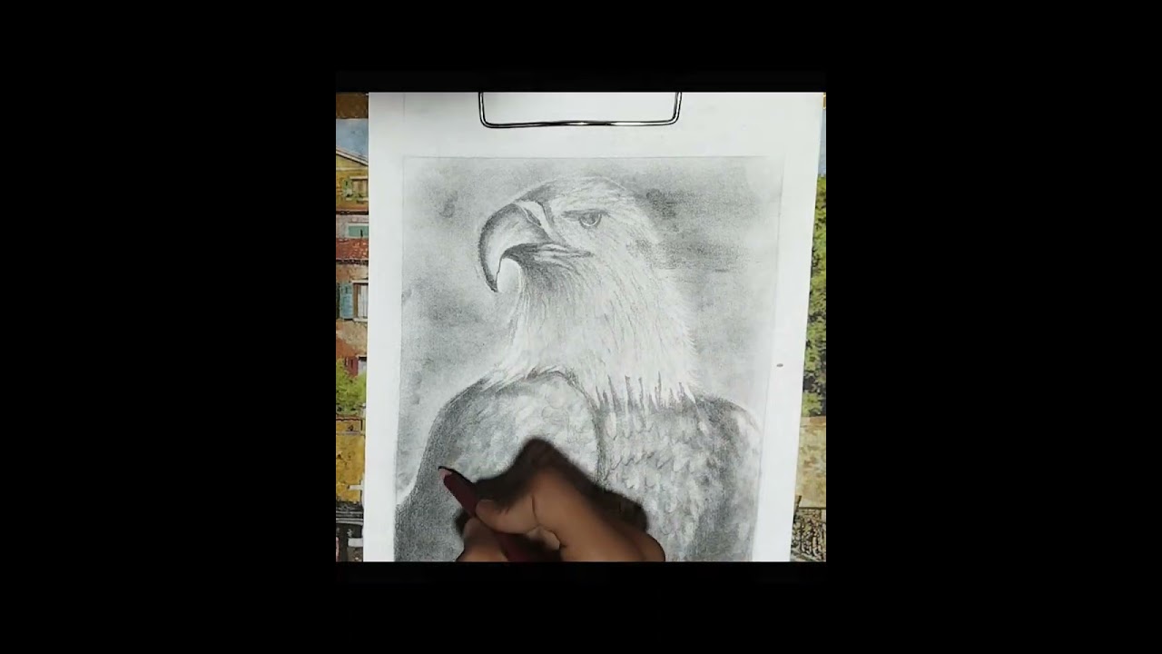 eagle drawing.