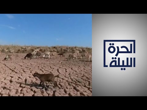 التغير البيئي وانقراض الكائنات الحية