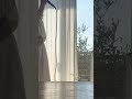 告白 / 崎山蒼志 &amp; 石崎ひゅーい
