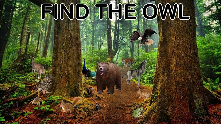 Nobody can find all hidden animals |find the hidden animals |new brain game 2023 | AR Entertainment.