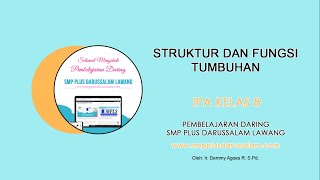 IPA KELAS 8 #12 STRUKTUR & FUNGSI TUMBUHAN