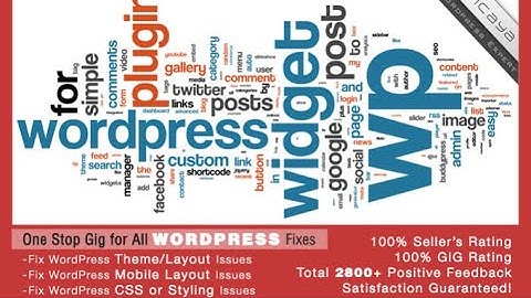 Fix your  wordpress errors, issues, bug or css