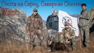 Охота на Серну в Северной Осетии
