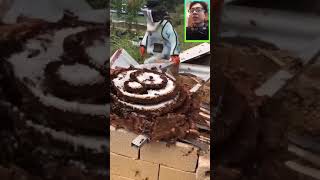 Harvesting Honey with BARE HANDS // Adam bartley