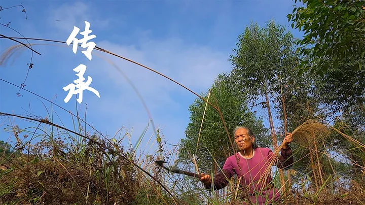 一种小传承，一种乡美食，被网友调侃为老年李子柒liziqi | Chinese Food | 广西 美食 | 玉林阿婆 - DayDayNews