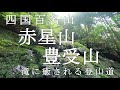 【Episode.35】マイナスイオン満載！！赤星山・豊受山【四国百名山】