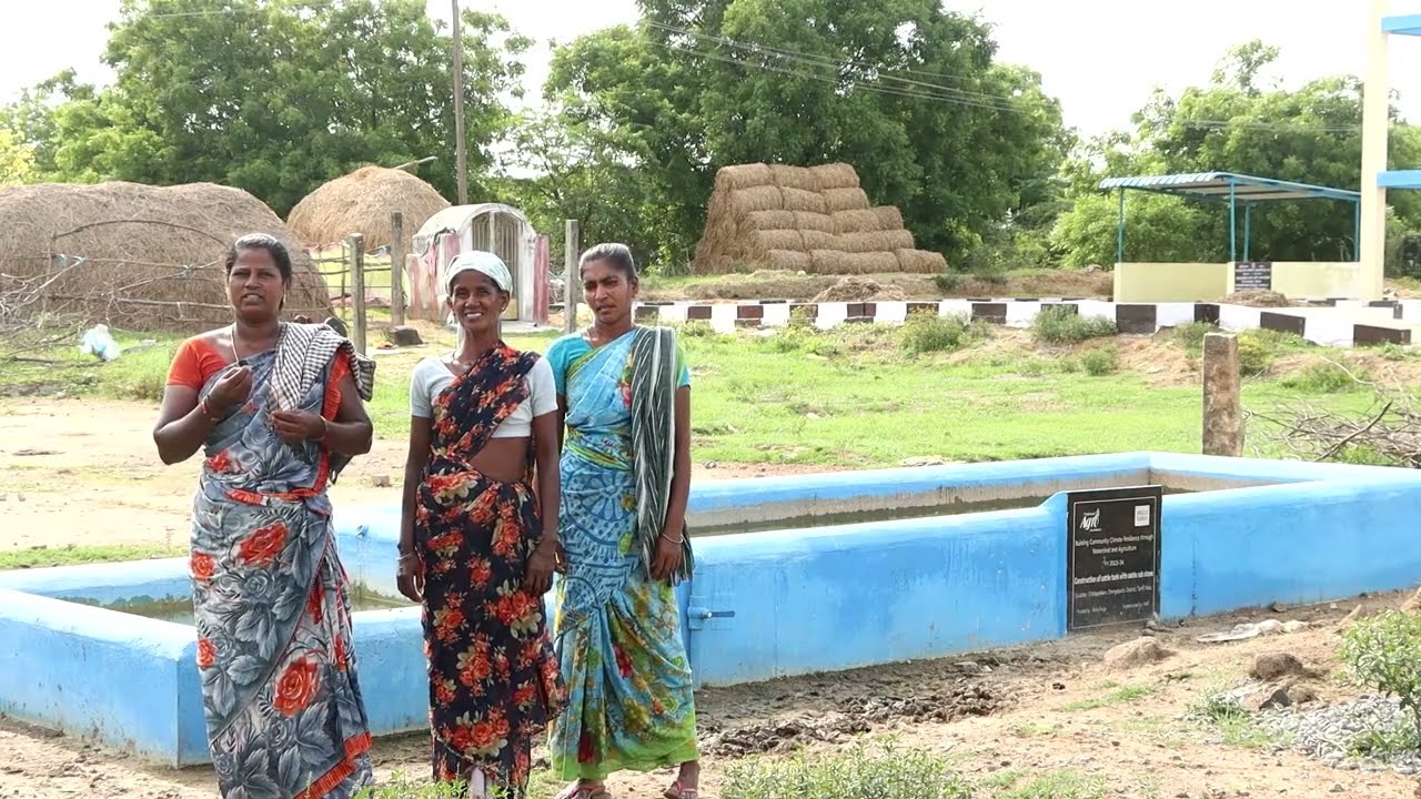 Cattle Pond: A Key to Thriving Livestock | Wells Fargo | National Agro Foundation