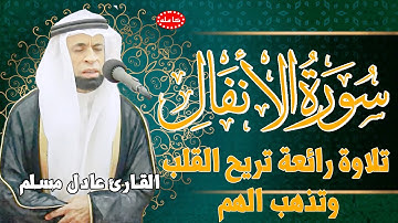 تلاوة رائعة تريح القلب والروح سورة الأنفال القارئ عادل مسلم (النسخة الأصلية) | Surat Al Anfal