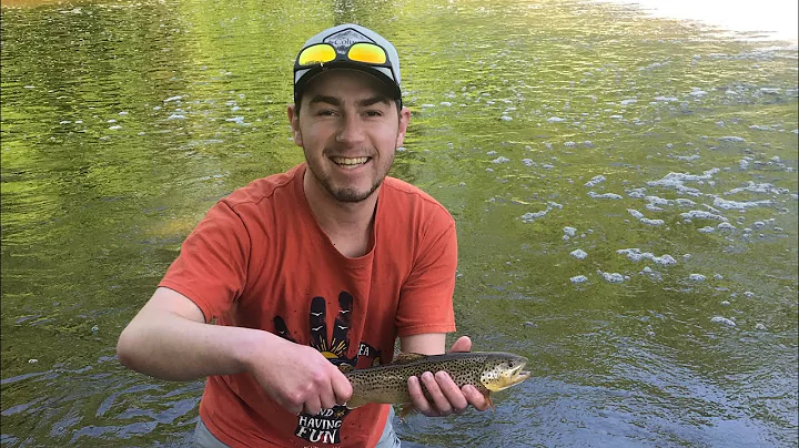 SPILLWAY Fishing For ANYTHING That Bites!