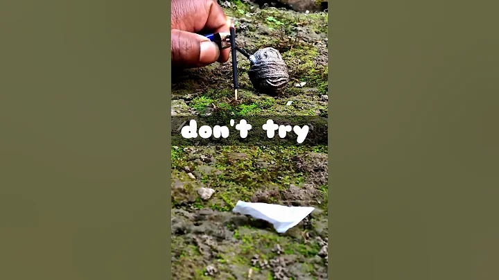 fire crackers 💥 24 #shorts #ytshorts #fireworks @mr.boombaam