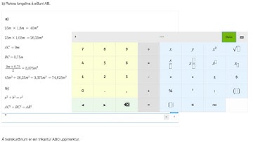 Nám WISEflow - Støddfrøði