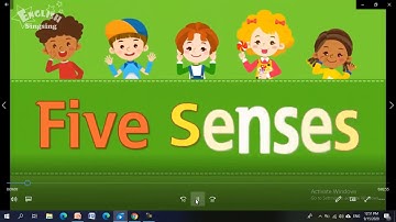 connect plus G 1  The 5 senses