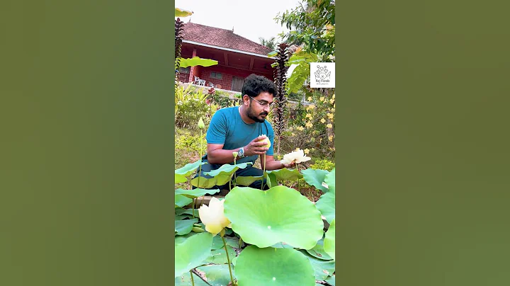 site visit  🥳#plant #lotus #india #flower #lotusflower #trending - DayDayNews