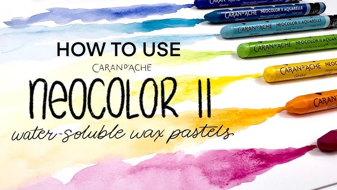 The Caran d'Ache Neocolor II Artists' Water Soluble Crayon Set with Artist  Karlyn Holman 