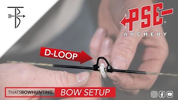How to setup our D-loop on the PSE EVO