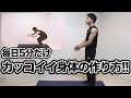 1日5分で全身燃やすトレーニング