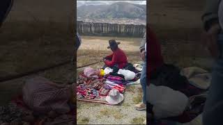 Tejedora de Perú #shorts