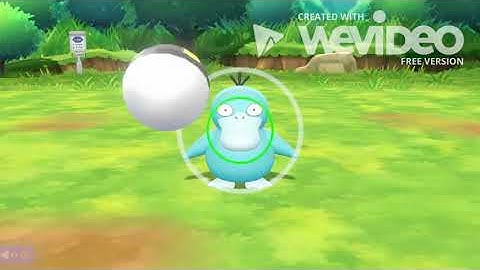 Shiny Psyduck in Pokemon Let