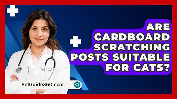 Are Cardboard Scratching Posts Suitable For Cats? - PetGuide360.com