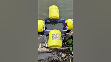 báo cá| cá tra| cá tra sông| câu cá thiên nhiên Trung Nghĩa|#fishing #fish #caucathugian #gofishing