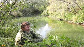 По Вятским Полям И Лесам С Поэтом Светобором