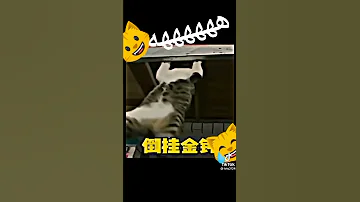 اغنيه كونغ فو باندا بطريقه القطط هتموت من الضحك 