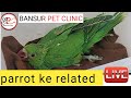 Parrot  save bansur pet clinic live