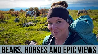 Grayson Highlands Adventure | 22 Miles, Wild Horses & Bear Sightings