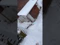 #shortvideo #snow #beautiful #homegarden #winterwonderland #winterseason #love