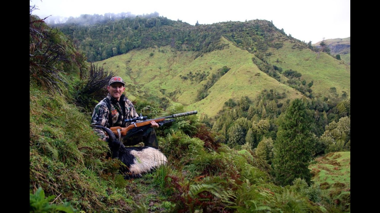 2nd part of... Real Goat hunting in NZ, Watch in HD YouTube