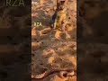 لا تلعب بالنار تحرق اصابيعك 🤪 لا تلعب بالنار تحرق اصابيعك 🤪