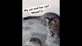 My cat and her rat? Whattt??😱