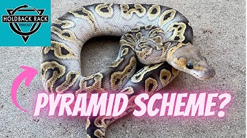 HRP 53 - Long-term Viability of Reptile Breeding Businesses